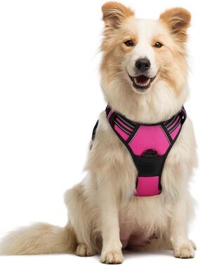 rabbitgoo Dog Harness, No Pull Medium Sized Pet Vest (22-51 lbs)